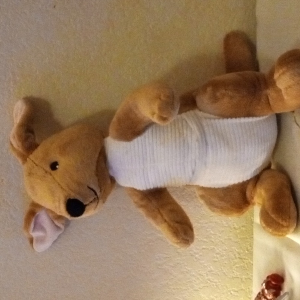 Kohls Cares for Kids 14' Kangaroos